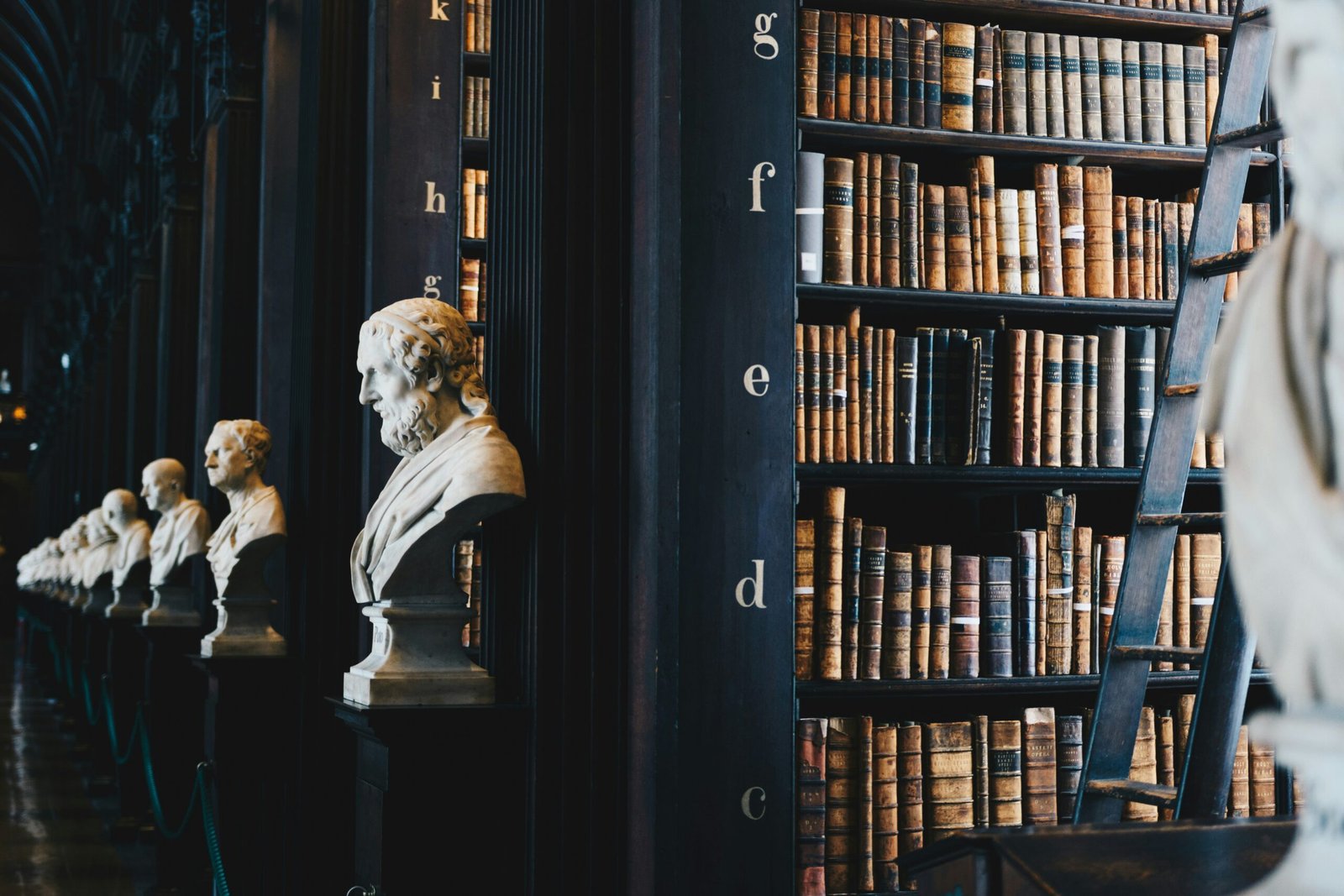 Trust and Will legal services in Miami, Florida – Grimaldi Law Firm